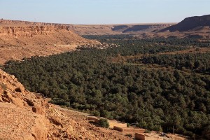 ziz valley morocco