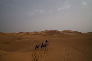 desert tour